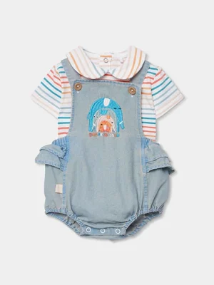 Conjunto líneas de colores